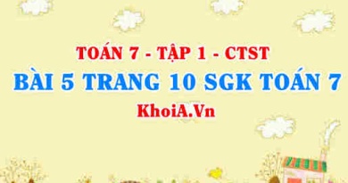 Bài 5 trang 10 SGK Toán 7 tập 1 Chân trời sáng tạo